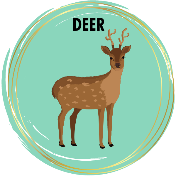 Snow Deer – Diamond Art Club