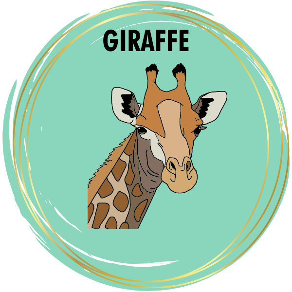 Diamond Painting Kit Baby Giraffe Canvas 30x30cm – Creative Kids Wonderland