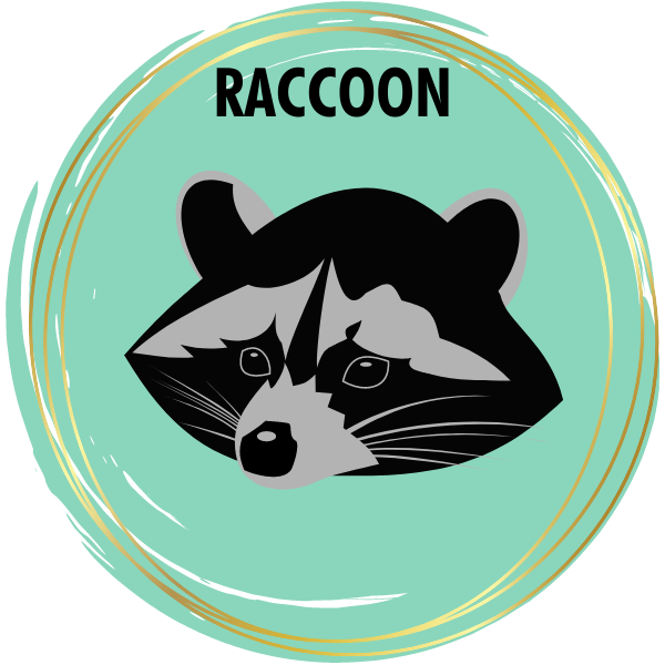 Cute Racoon From Crafting Spark - Diamond Painting - Kits - Casa Cenina