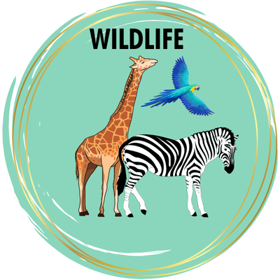 Wildlife Diamond Painting Kits