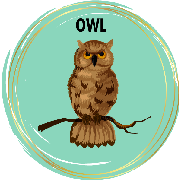 Custom 5D Owl Diamond Art Full Drill Owl Design For Home