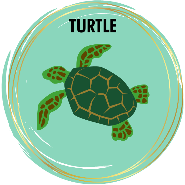Sea Turtle Diamond Card