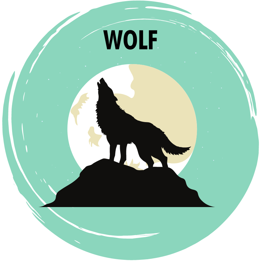 Wolf And The Moon DIY Diamond Painting – GemsFlow