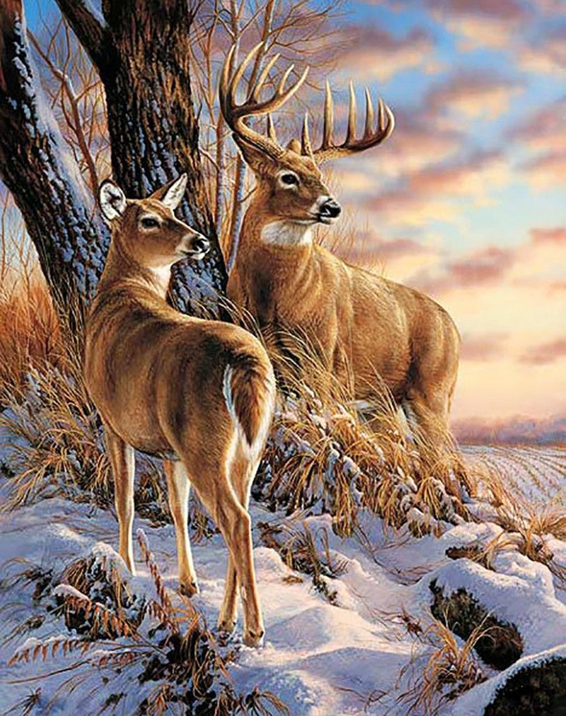 Deers in The Snow