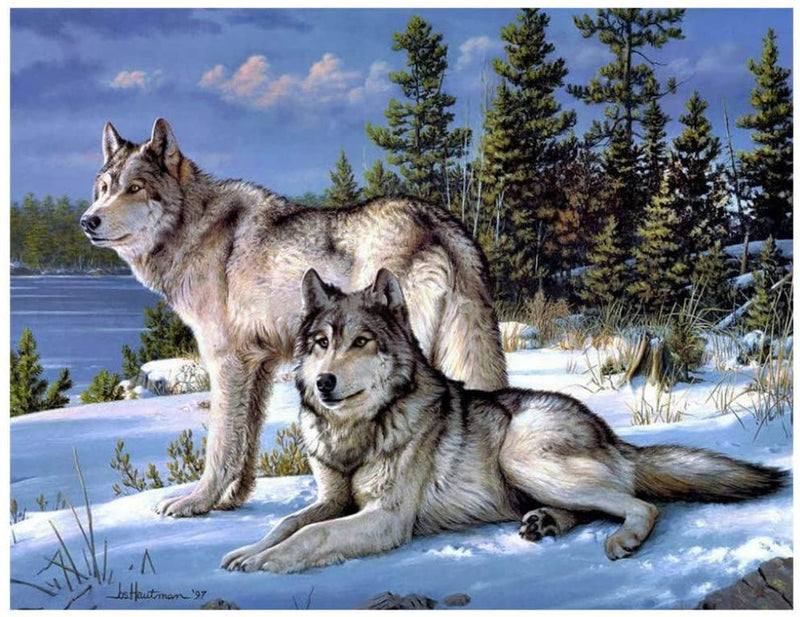 Alaskan Wolves