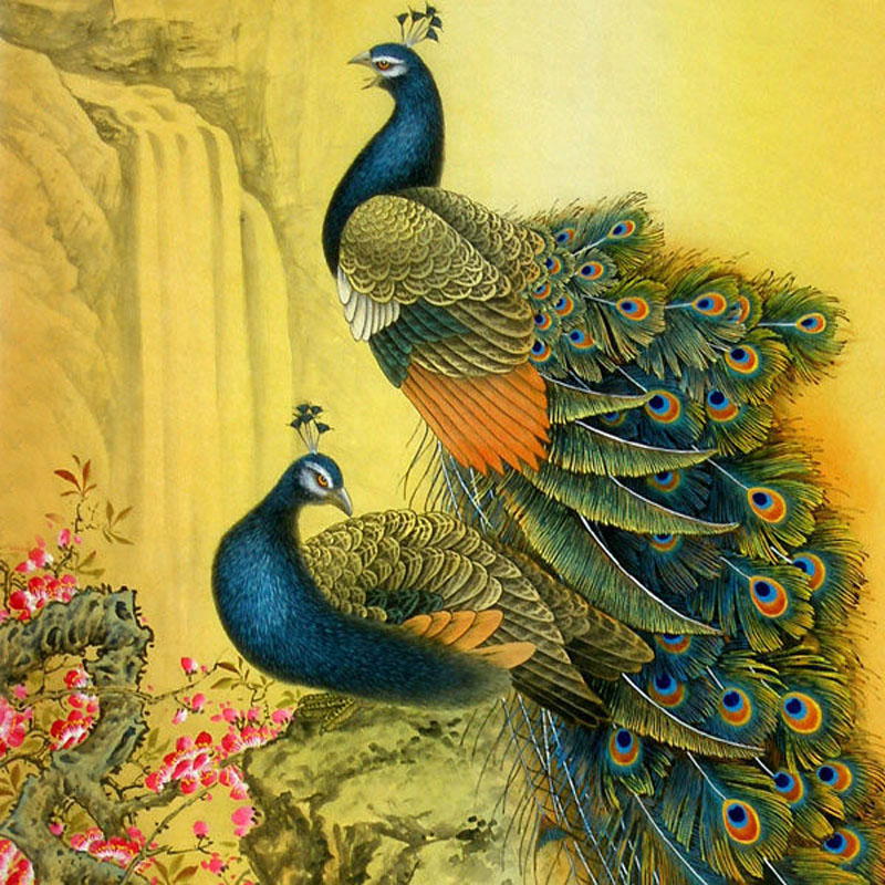 Oriental Peacocks
