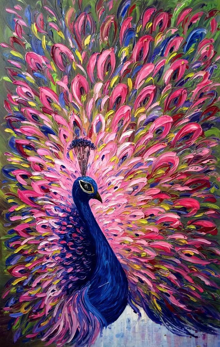 Blushing Peacock