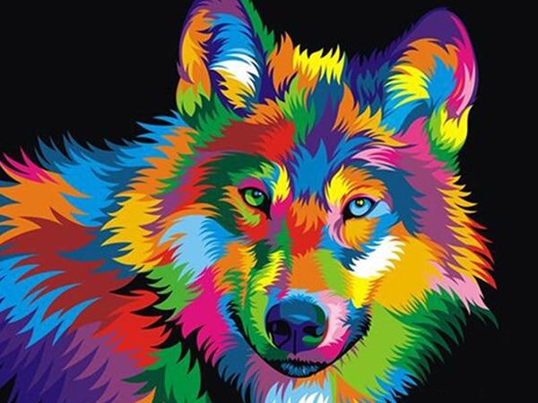 Wolf in Rainbow
