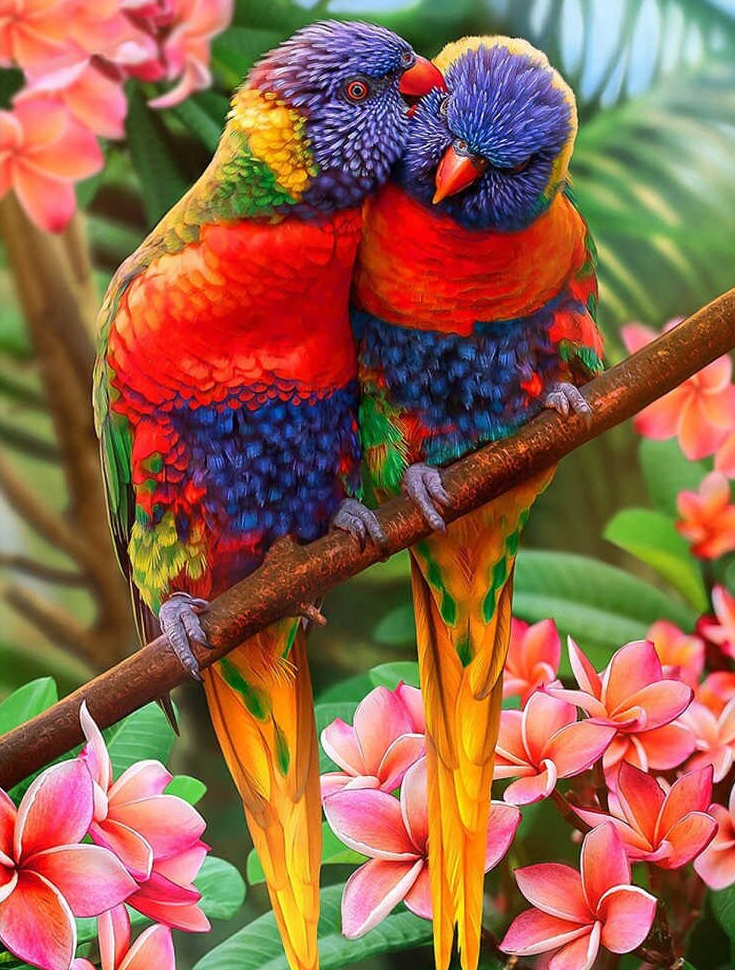 Parrot Kisses