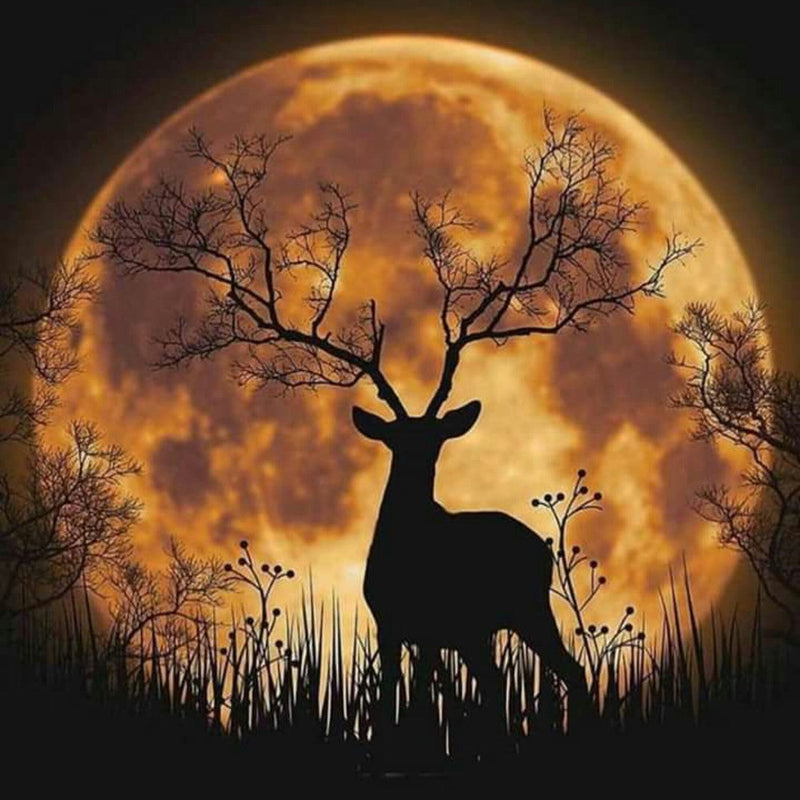 Moonlit Deer