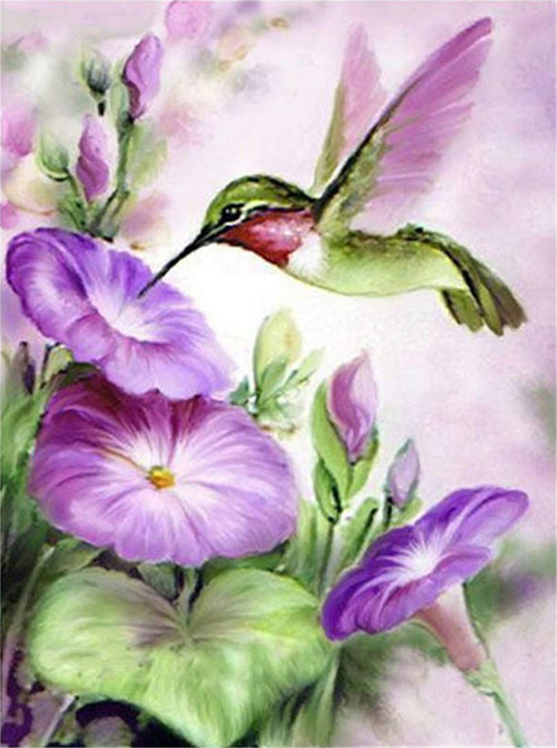 Sweet Hummingbird