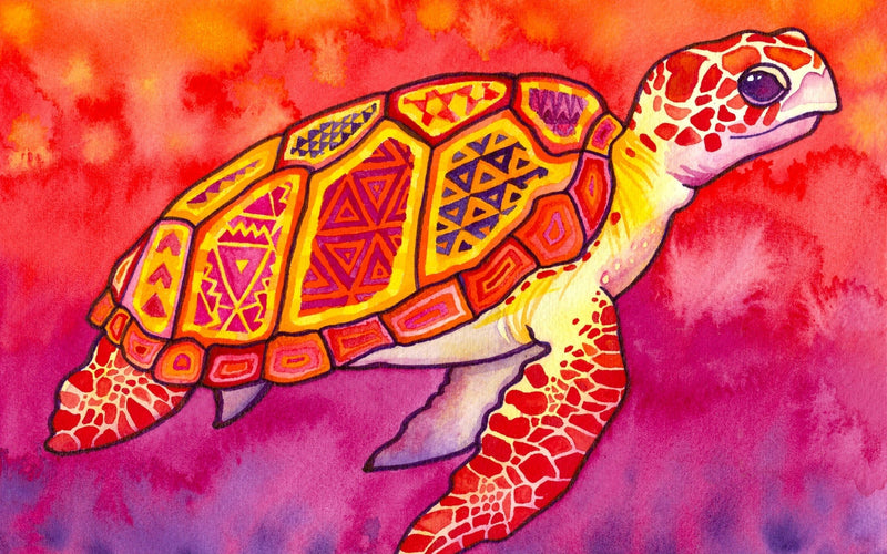 Sunrise Turtle