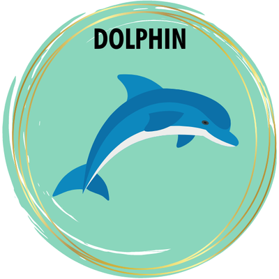Dolphin Diamond Painting Kits