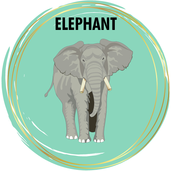 Elephant Diamond Painting Kits