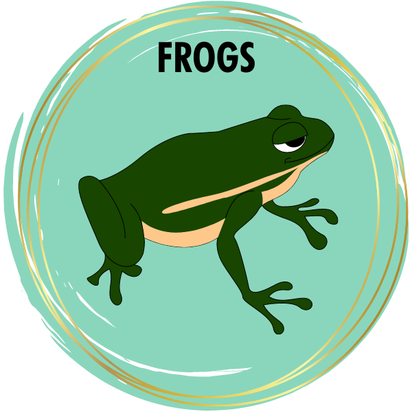 Frog Diamond Painting Kits