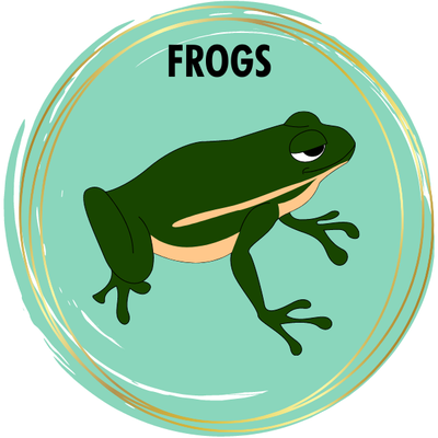 Frog Diamond Painting Kits