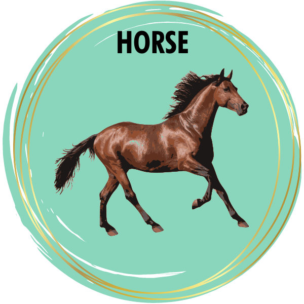 Horse Diamond Painting Kits