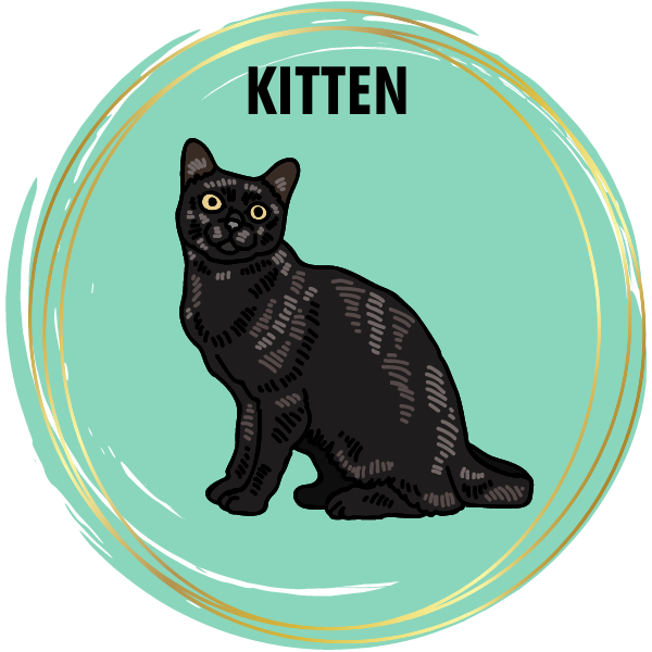 Kitten Diamond Painting Kits