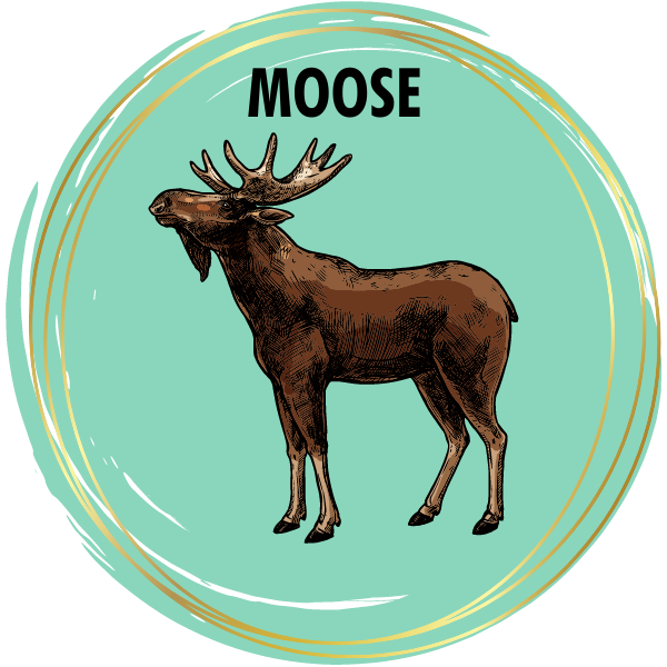 Moose Diamond Painting Kits