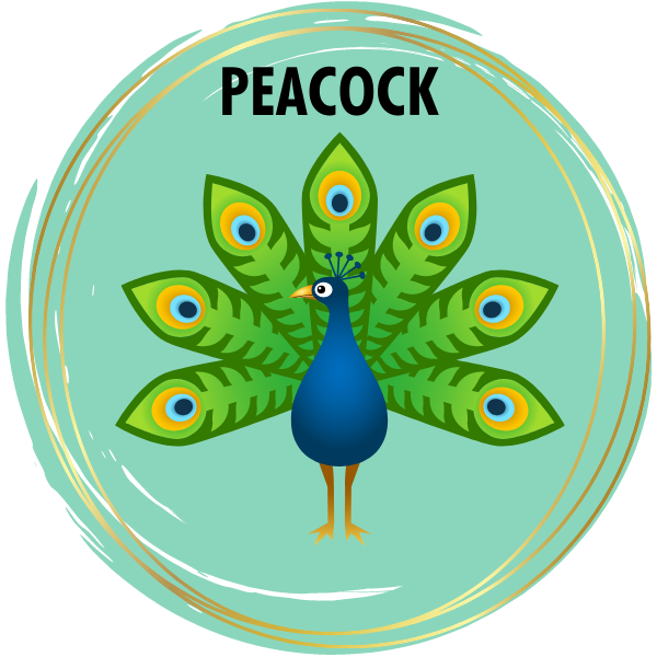 Peacock Diamond Painting Kits
