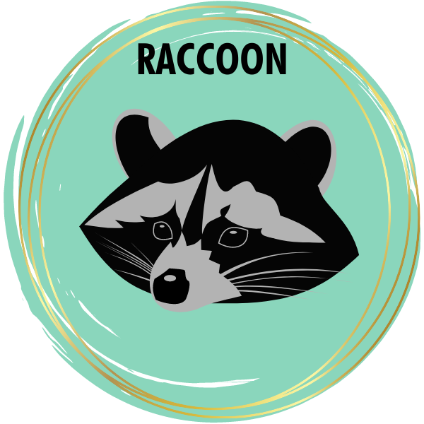 Raccoon Diamond Painting Kits
