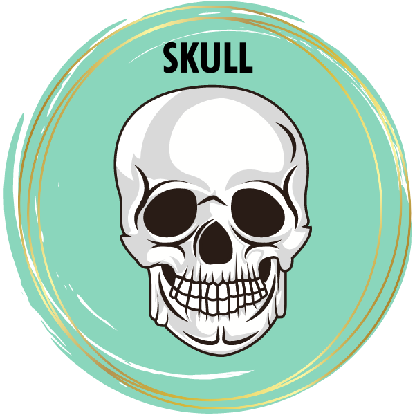 Skull Diamond Painting Kits