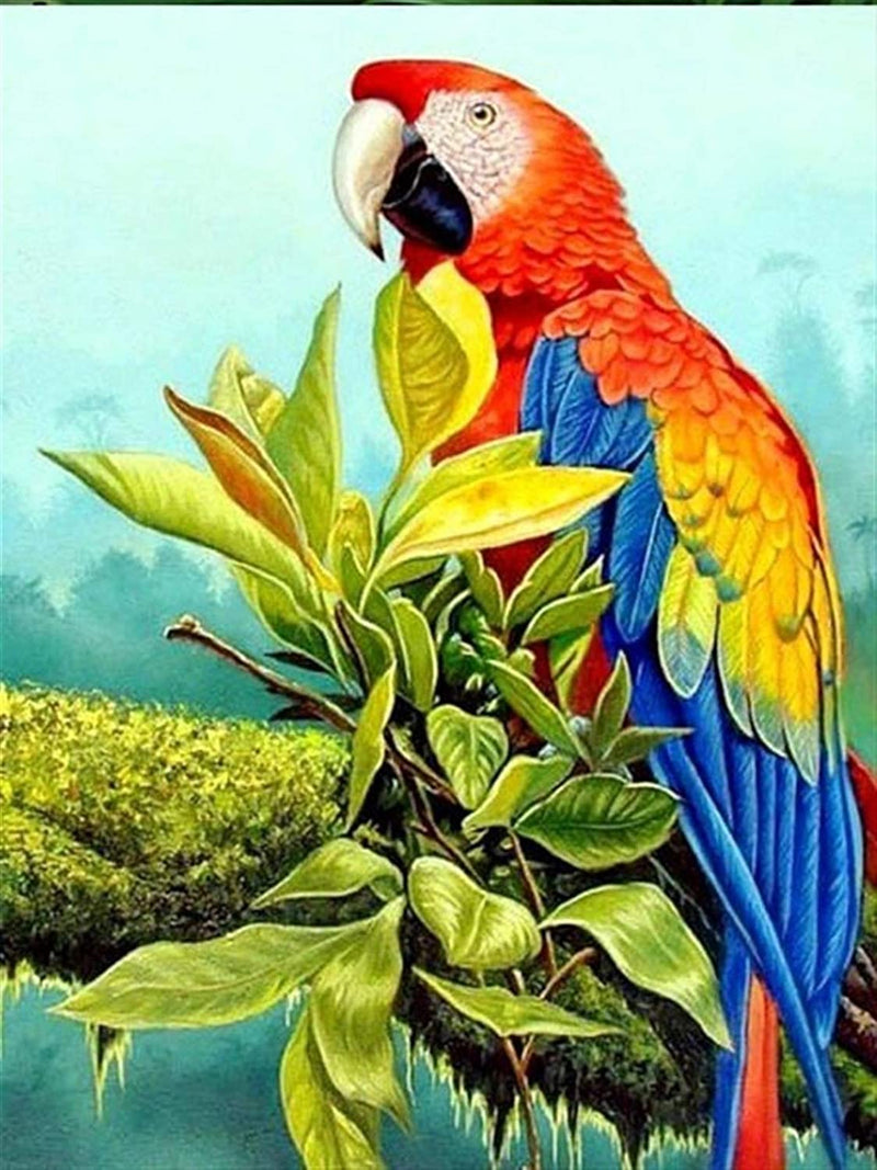 Perched Parrot