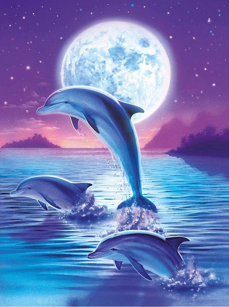 Moonlit Dolphins