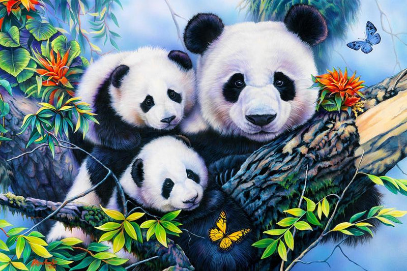 Panda Family Portrait