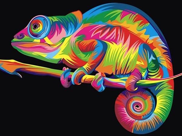 Chameleon in Rainbow