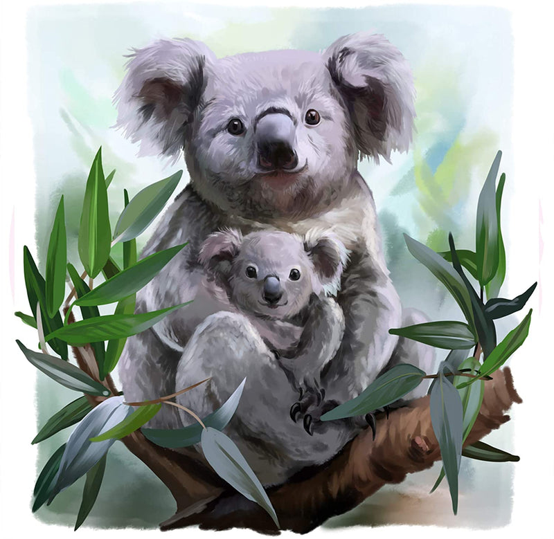 Fluffy Koalas