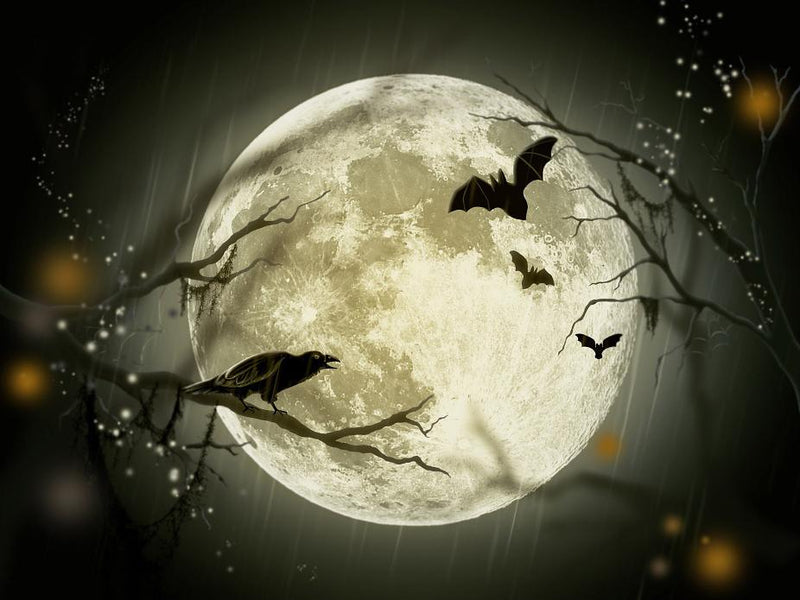 Full Moon on Halloween