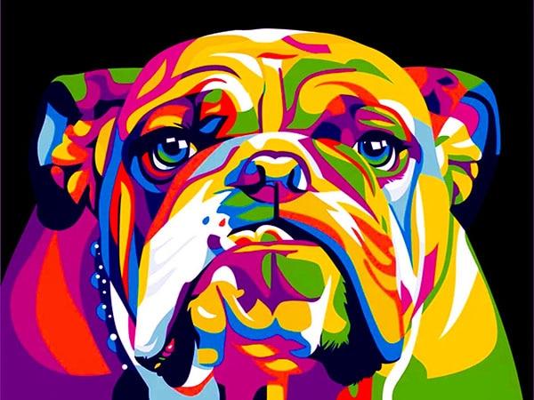 Bulldog in Rainbow