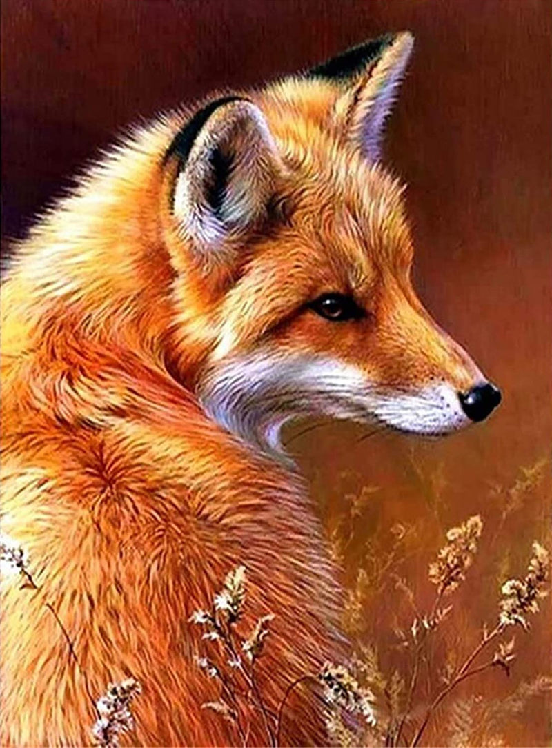 Springtime Fox