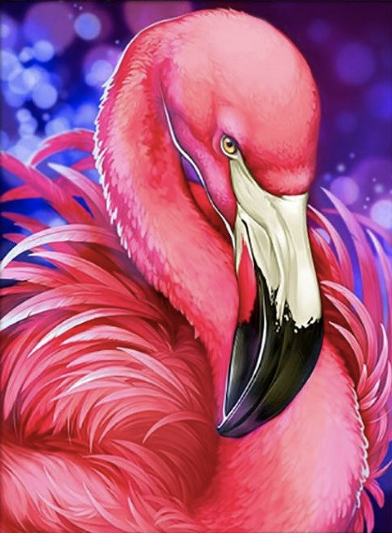 Femme Flamingo