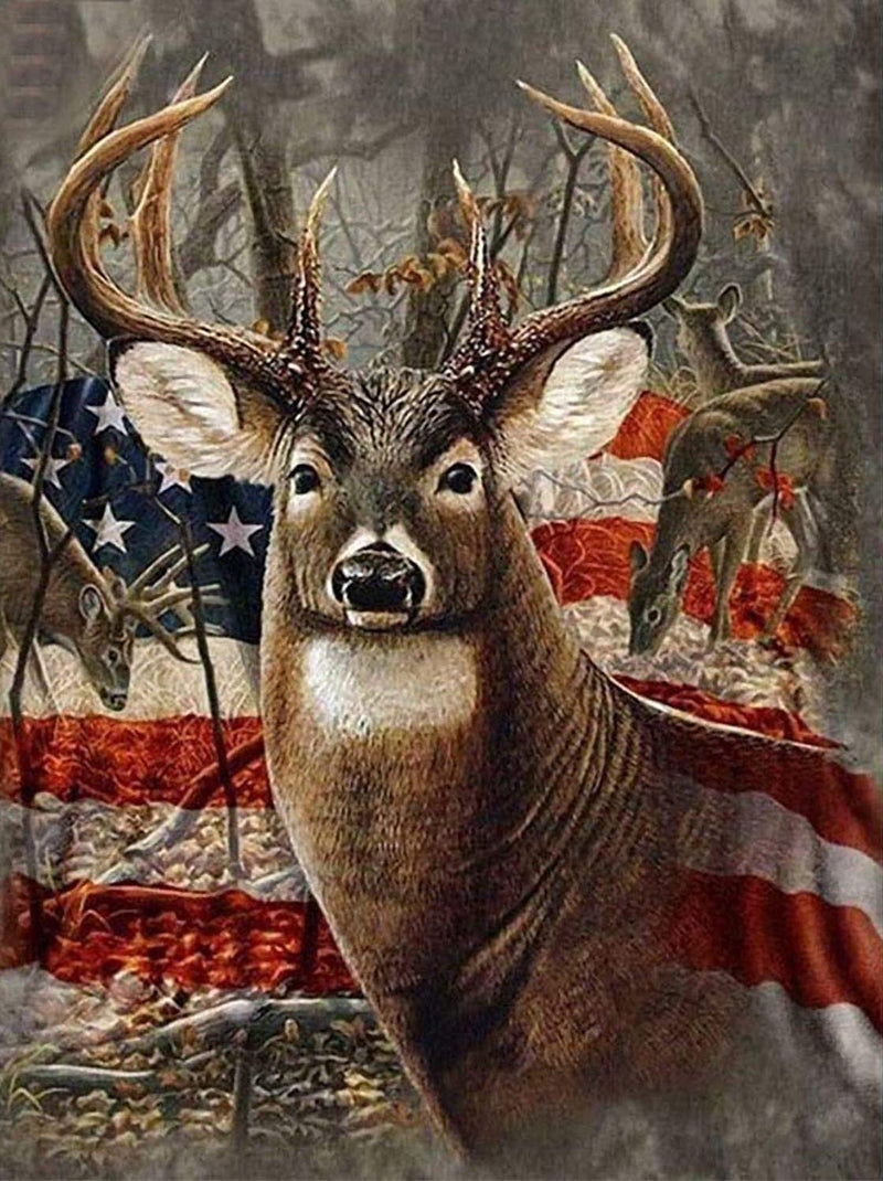 American Deer