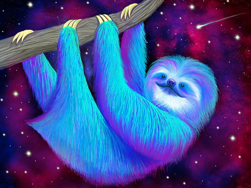 Starry Sloths