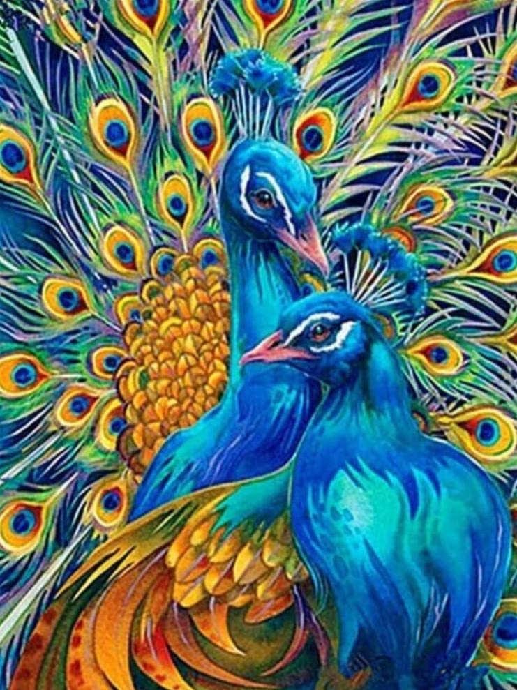 Peacock Royalty